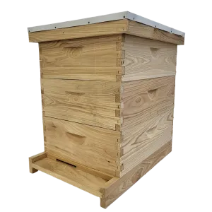 10-Frame All-Medium Box Hive Kit