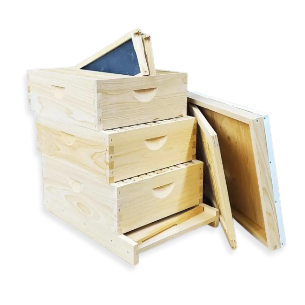 10-Frame All-Medium Box Hive Kit